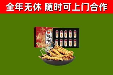 绥棱回收冬虫夏草价格